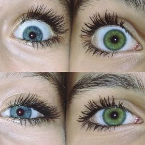 Meet your Posher, Bailey